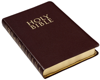 Picture, A Bible